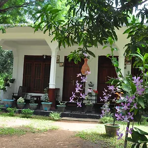  Gasthof Flower Guest Sri Lanka